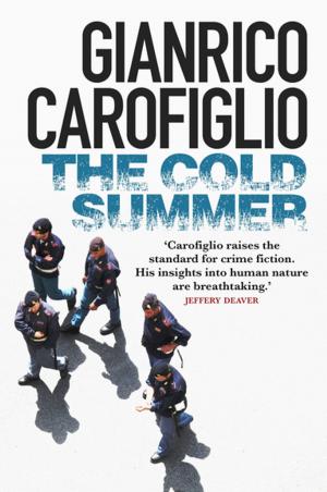 Cover of the book The Cold Summer by Teresa Solana