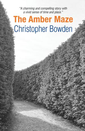 Cover of the book The Amber Maze by Richard Baldwyn