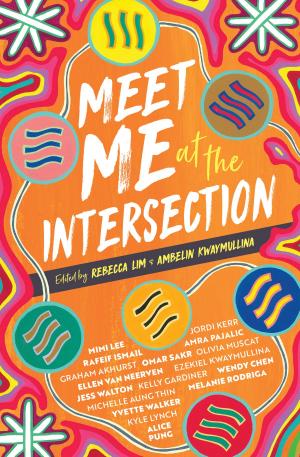 Cover of the book Meet Me at the Intersection by Darlene Oxenham