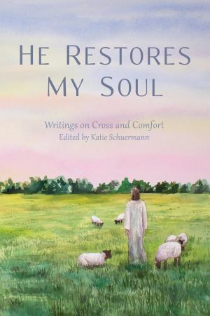 Cover of the book He Restores My Soul by Dr. Todd M. Fink