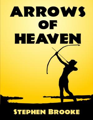 Cover of the book Arrows of Heaven by Stephen Brooke