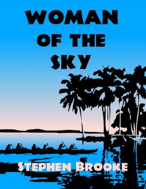 Cover of the book Woman of the Sky by Stephen Brooke