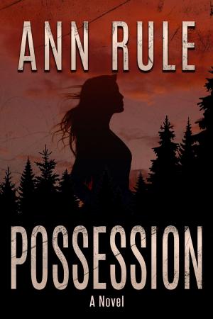 Cover of the book Possession by Pete Morin