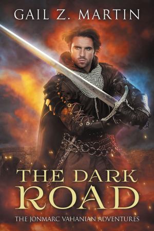 Cover of the book The Dark Road by F. SANTINI