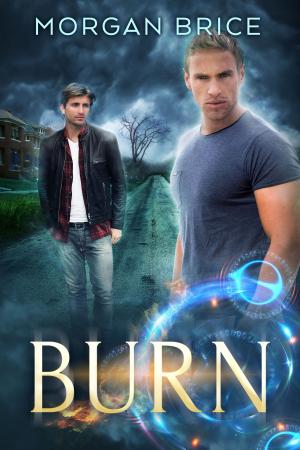 Cover of the book Burn by Amanda Browning