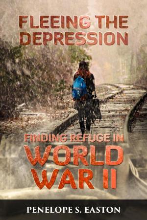 bigCover of the book Fleeing the Depression by 
