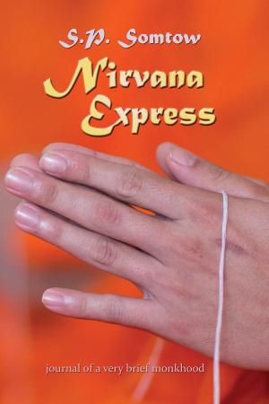 Cover of the book Nirvana Express by Mia Epsilon