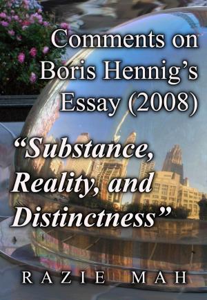 Cover of Comments on Boris Hennig's Essay (2008) "Substance, Reality and Distinctness"