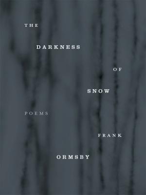 Cover of the book The Darkness of Snow by Jessica Barnes