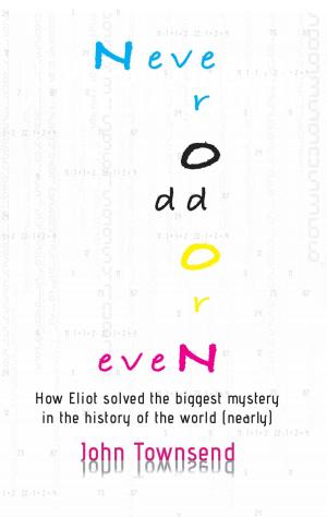 Book cover of Never Odd or Even