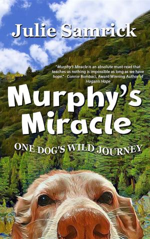 Cover of the book Murphy's Miracle by Spencer Honor