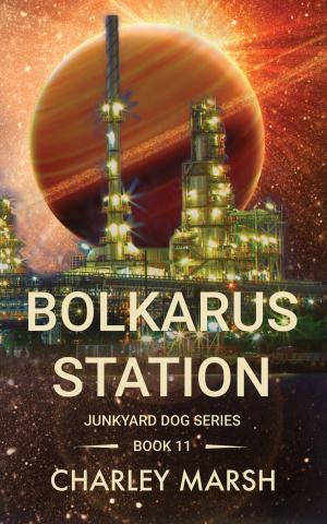 bigCover of the book Bolkarus Station by 