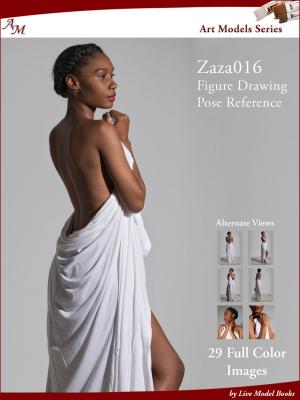 Cover of Art Models Zaza016