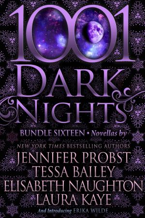 Cover of the book 1001 Dark Nights: Bundle Sixteen by Lexi Blake, Lisa Renee Jones, Larissa Ione, Cherise Sinclair