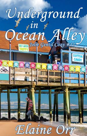 Cover of the book Underground in Ocean Alley by Rowan Scott Davis