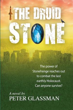 Cover of the book The Druid Stone by Ann Crawford