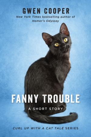 Cover of the book Fanny Trouble by Deborah Shames