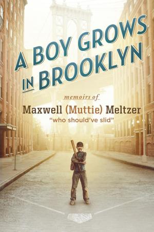 Cover of the book A Boy Grows in Brooklyn by J N PRATLEY