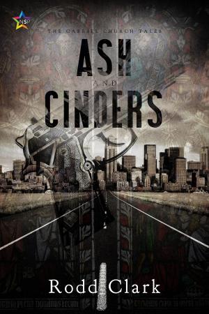 Cover of the book Ash and Cinders by Isabelle Adler