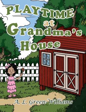 Cover of the book Playtime at Grandma's House by JAMES W BURKE JR