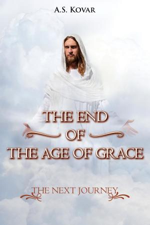 Cover of the book THE END OF THE AGE OF GRACE by IRIS TODD-LEWIS