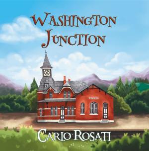 Cover of the book Washington Junction by Deepak Gupta