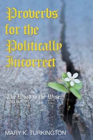 Cover of the book Proverbs for the Politically Incorrect by Michelle Cochran