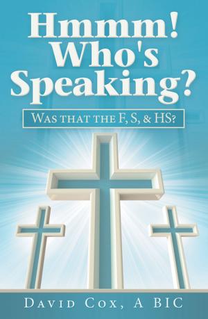 Cover of the book Hmmm! Who’s Speaking? by Comlanvi Sena Paul Avoungnassou