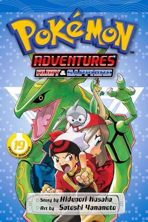 Cover of the book Pokémon Adventures (Ruby and Sapphire), Vol. 19 by Akihisa Ikeda