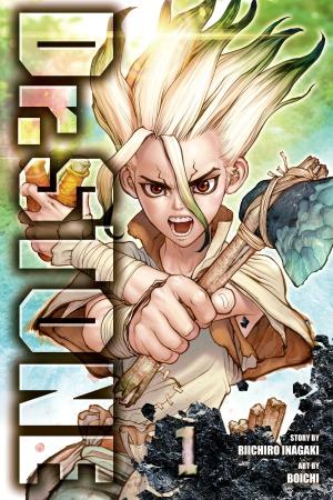 bigCover of the book Dr. STONE, Vol. 1 by 