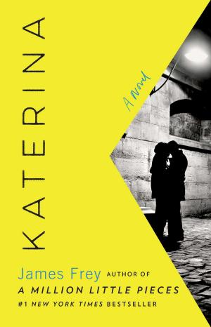 Cover of the book Katerina by Vasily Sukhomlinsky