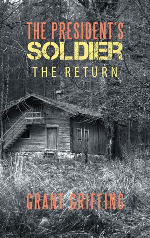 Cover of the book The President's Soldier by Rock Peters