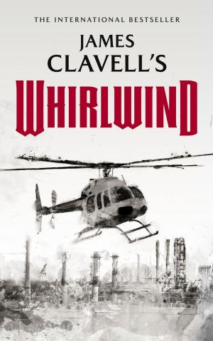 Cover of the book Whirlwind by John Kuykendall
