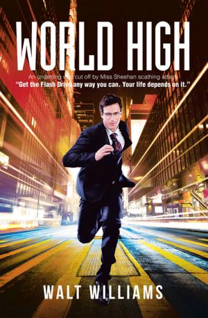 Cover of the book World High by Edward Willett