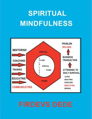 Cover of the book Spiritual Mindfulness by Kofi Quaye