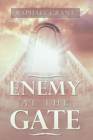 Cover of the book Enemy at the Gate by Harry Borgman