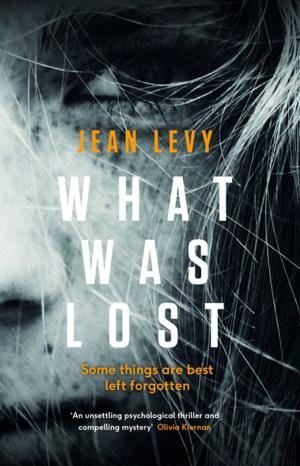 Cover of the book What Was Lost by Andrew Swanston