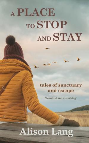 Cover of the book A Place to Stop and Stay by Debz Hobbs-Wyatt, Andrew Blackman