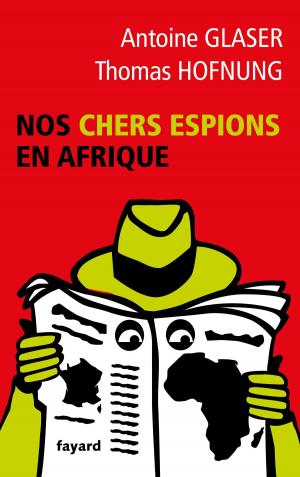 Book cover of Nos chers espions en Afrique