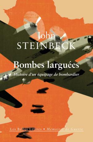 Cover of the book Bombes larguées by Danielle Jouanna