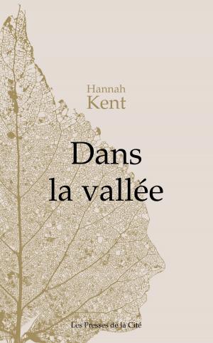 Cover of the book Dans la vallée by Françoise BOURDIN