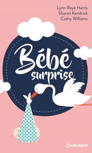 Cover of the book Bébé surprise by Marion Lennox, Cathie Linz, Robyn Donald