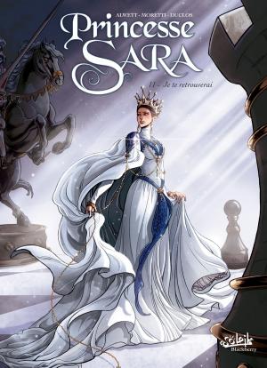 Book cover of Princesse Sara T11