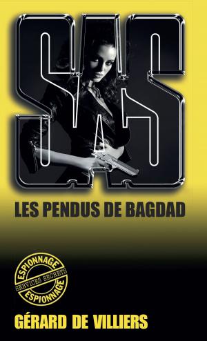 Cover of the book SAS 14 Les Pendus de Bagdad by J. Dane Tyler