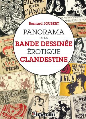 Cover of the book Panorama de la bande dessinée érotique clandestine by Bruno H loison