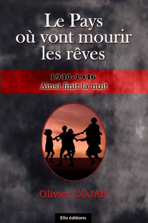 Cover of the book Le Pays où vont mourir les rêves - tome 4 by Jason Price Everett