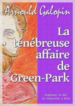 Cover of the book La ténébreuse affaire de Green-Park by Jules Verne