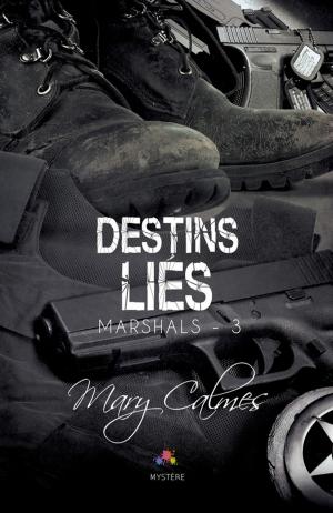 Cover of the book Destins Liés by Josh Lanyon
