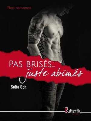 Cover of the book Pas brisés juste abîmés by Celine Chaudey