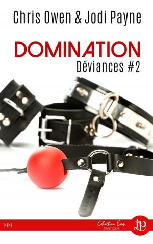 Cover of the book Domination by Vaughn Indra